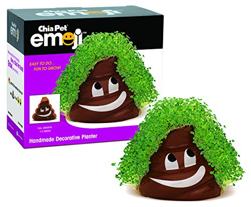Product Cover Chia Emoji Poopy Handmade Pottery Planter