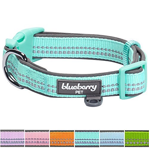 Product Cover Blueberry Pet 6 Colors Soft & Comfy 3M Reflective Pastel Color Padded Dog Collar, Mint Blue, Small, Neck 12