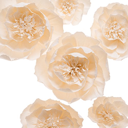 Product Cover KEY SPRING Paper Flower Decorations, Large Crepe Paper Flowers, Handcrafted Flowers, Giant Paper Flowers (Beige, Set of 6) for Wedding Backdrop, Nursery Wall Decorations, Bridal Shower, Baby Shower