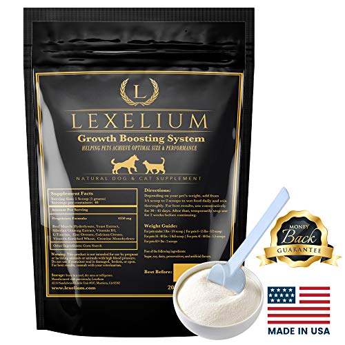 Product Cover Lexelium Weight Gainer and Appetite Stimulant for Cats and Dogs | 100% Natural Pet Supplement | Helps Add Weight, Stimulate Appetite, and Build Muscle | Helps Pets with Protein | No Toxic Ingredients