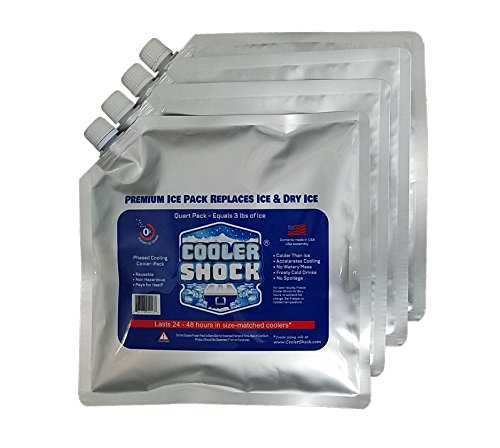 Product Cover 4 Mid-Size Cooler Freeze Packs 10x10 inch Screw Cap. The Coldest Pack at 18 Degrees F. No Ice Needed, Reusable. You Add Water & Save. C.S. Brand Packs Have 4,000 Reviews Avg. 4.6 Stars