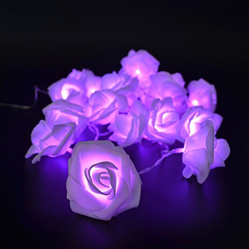 Product Cover Avanti 20 Led Battery Operated String Romantic Flower Rose Fairy Light Lamp Outdoor for Valentine's Day, Wedding, Room, Garden, Christmass, Patio, Festival Party Decor (Purple)