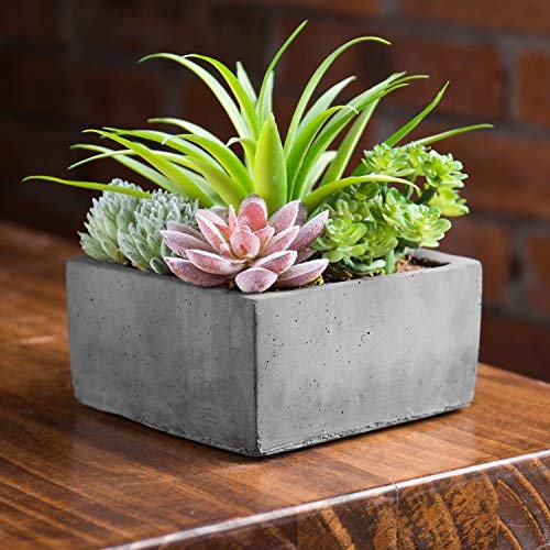 Product Cover MyGift Faux Potted Assorted Succulents Plants in Grey Planter