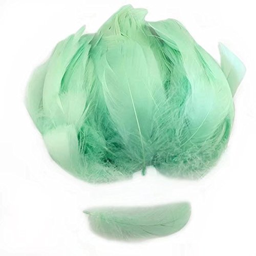 Product Cover Celine lin 100 PCS Colorful Goose Feathers For DIY Art Craft Wedding Home Party Decorations 3.2-5 Inch(8-12CM),Light green