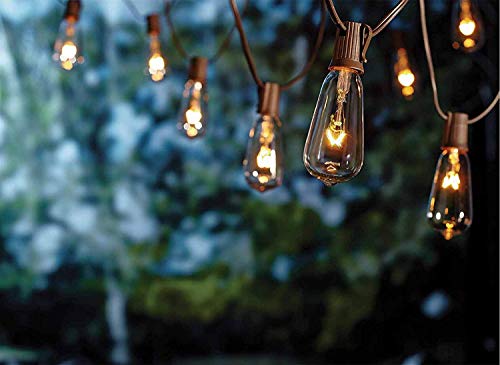 Product Cover Goothy 20Ft Outdoor Patio String Lights,Set of 20 Glass ST40 Edison Style Bulb String Lights Garden/Backyard Party/Wedding Indoor String Lights(Plus 1 Extra Bulbs)-Brown