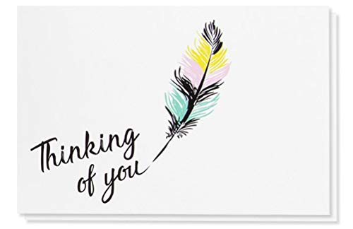 Product Cover 48-Pack Thinking of You Note Cards - Blank on the Inside, Colorful Feather Design, Includes 48 Greeting Cards and Envelopes, 4 x 6 Inches