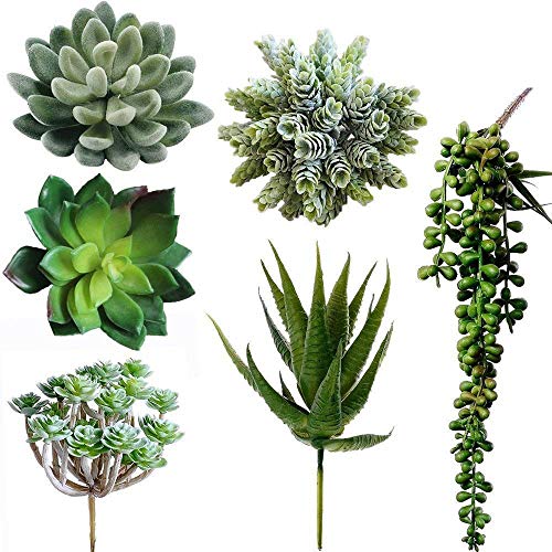 Product Cover Winlyn 6 Pcs Unpotted Fake Succulents Assorted Faux Succulent in Different Green Artificial Hanging Succulents Textured Faux Succulent Pick Hanging String of Pearls Plant for Wedding Centerpieces