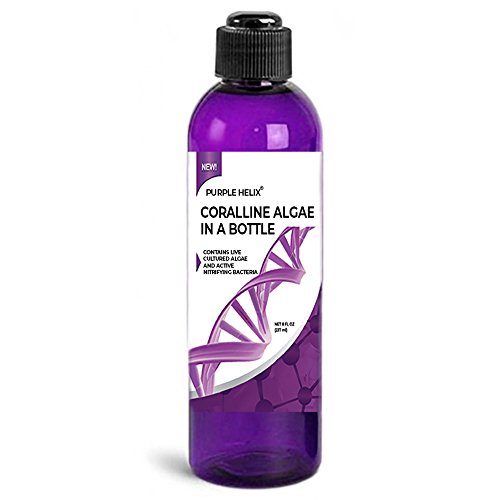 Product Cover Coralline Algae in a Bottle + Nitrifying Bacteria for Saltwater Aquariums, Purple Helix Strain