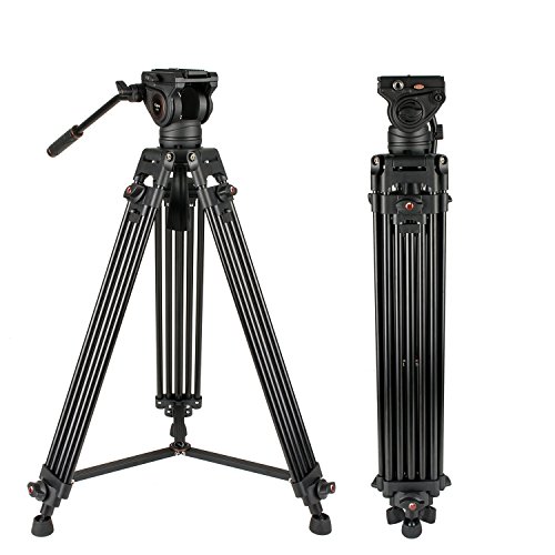 Product Cover Heavy Duty Video Tripod, Cayer 64 Inch BV30-Camcorder Tripod System Aluminum Leg, K3 Fluid Head, Mid-Level Spreader, Max Loading 13.2 LB, DSLR Shooting, Plus 1 Bonus Quick Release Plate, Carrying Bag