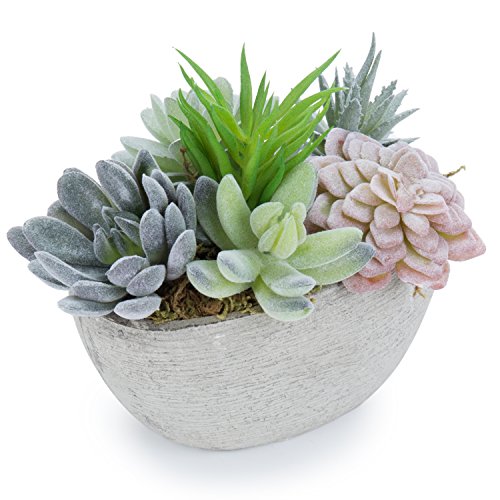 Product Cover MyGift 7-Inch Tabletop Assorted Artificial Succulent Plants in Decorative Oval Textured Pulp Pot (Plant 2)