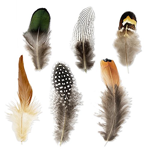 Product Cover Coceca 180pcs 6 Styled Feathers Assorted Mixed Feathers for Dream Catcher Crafts