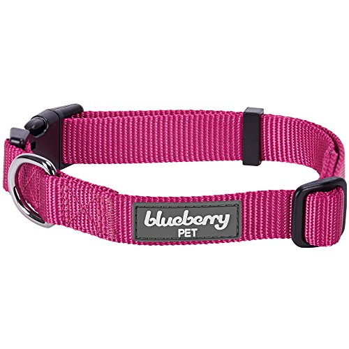 Product Cover Blueberry Pet 22 Colors Classic Dog Collar, Very Berry, X-Small, Neck 8