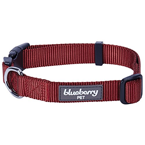 Product Cover Blueberry Pet Essentials 22 Colors Classic Dog Collar, Fired Brick, Small, Neck 12