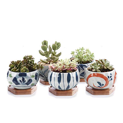 Product Cover T4U Japanese Style 4.25 Inch Ceramic Bowl Shape Succulent Plant Pot with Bamboo Tray - Collection of 5