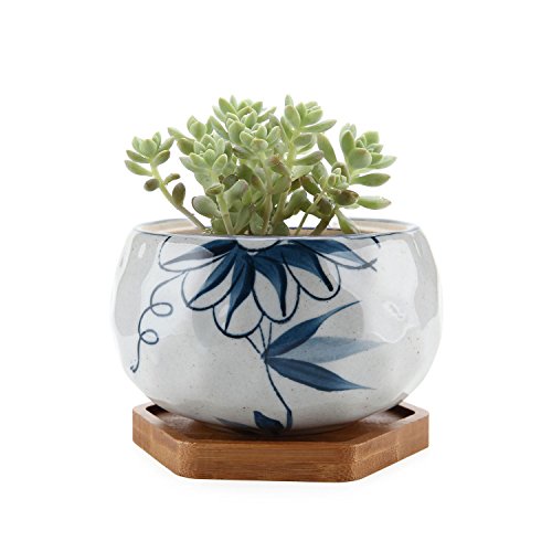 Product Cover T4U Japanese Style 4.25 Inch Ceramic Bowl Shape Succulent Plant Pot with Bamboo Tray - Daisy Pattern