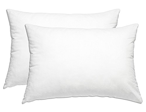 Product Cover Set of Two Hypoallergenic Microfiber Sleeping Pillows, Super Soft Fiber Fill, Breathable Pillows for Sleeping ( 2 Pack ) (Standard / Queen)