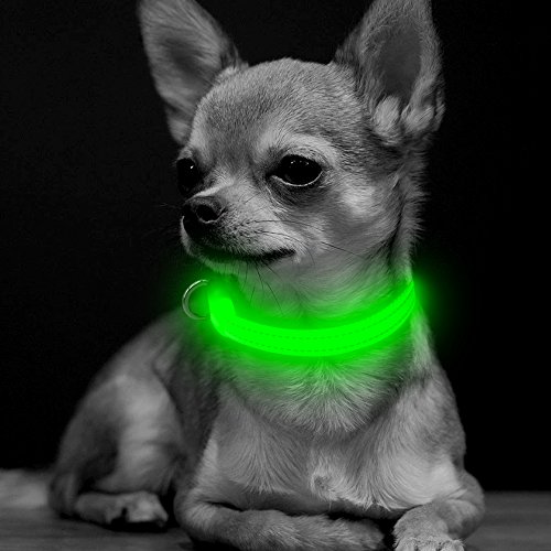 Product Cover BSEEN LED Dog Collar, USB Rechargeable Glowing Pet Safety Collar, Nylon Reflective Adjustable Light Up Puppy Collars for Small Dogs& Cats (XS, Green)
