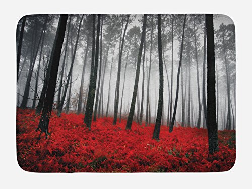 Product Cover Ambesonne Forest Bath Mat, Mystical Fantasy Woodland Under Heavy Fog Tall Trees Bushes Contrast Colors, Plush Bathroom Decor Mat with Non Slip Backing, 29.5