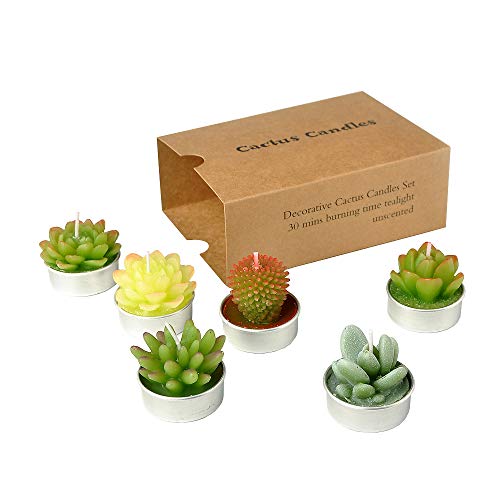 Product Cover SanSeng Cactus Tealight Candles, Handmade Delicate Succulent Cactus Candles（ Perfect for Birthday Party ,Wedding, Spa, Home Decor( 6 Pcs in Pack)