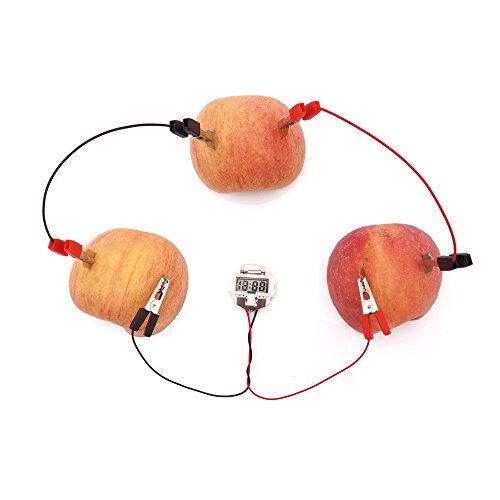 Product Cover TommoT Fruit Battery-Potato Clock Science Experiment Kit for DIY Home Teaching Toy, School Science Project and Education Subject Toys
