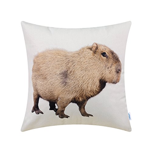 Product Cover CaliTime Canvas Throw Pillow Cover Shell for Couch Sofa Home Decoration Animals Theme Print 18 X 18 Inches Capybara