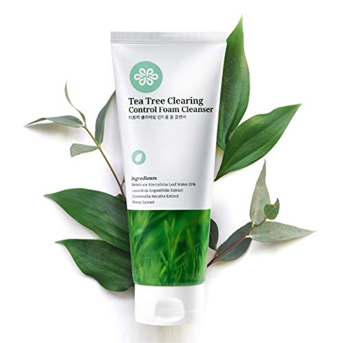 Product Cover LovLuv Tea Tree Foaming Facial Cleanser, K Beauty Daily Face Wash with Natural Ingredients and Anti Aging Properties [6 Oz] (1 PK)