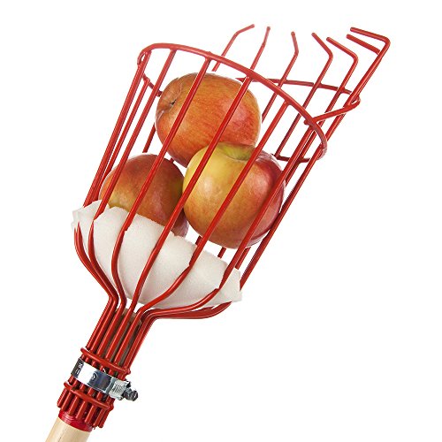 Product Cover Home-X Fruit Picker Harvester Basket with Cushion to Prevent Bruising (Pole not Included)