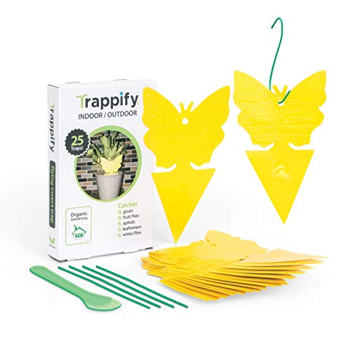 Product Cover Trappify Sticky Fruit Fly and Gnat Trap Yellow Sticky Bug Traps for Indoor/Outdoor Use - Insect Catcher for White Flies, Mosquitos, Fungus Gnats, Flying Insects - Disposable Glue Trappers (25)