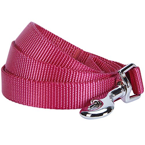 Product Cover Blueberry Pet 19 Colors Durable Classic Dog Leash 4 ft x 1