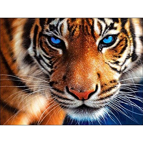 Product Cover SimingD DIY 5D Diamond Painting by Number Kits, Full Drill Crystal Rhinestone Embroidery Pictures Arts Craft for Home Wall Decor Gift,Aggressive Tiger,11.8x13.8in