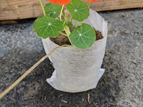 Product Cover 247Garden 100pcs 0.05 Gallon Eco-Friendly Aeration Fabric Pots/Nursery Seedling Plant Grow Bags 9x12cm (3x4.7in)