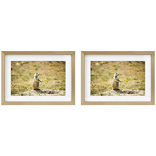 Product Cover Golden State Art Picture Frames - Gold Aluminum (Shiny Brushed) - Fit Photo with Ivory Mat or Without Mat - Metal Frame Real Glass (5x7, 2-Pack, Gold)