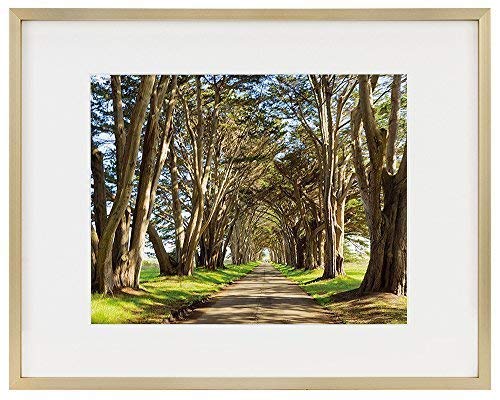 Product Cover Golden State Art Picture Frame - Gold Aluminum (Shiny Brushed) - Fit Photo with Ivory Mat or Without Mat - Metal Frame Wall Mounting - Real Glass (11x14, Gold)