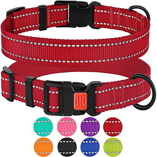 Product Cover CollarDirect Reflective Dog Collar, Safety Nylon Collars for Dogs with Buckle, Outdoor Adjustable Puppy Collar Small Medium Large (Neck Fit 14