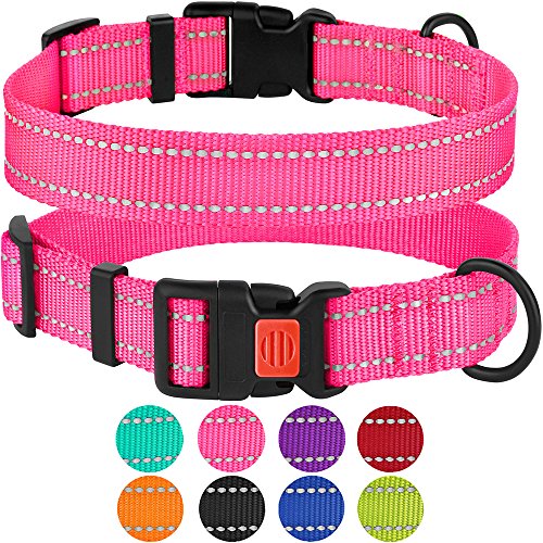 Product Cover CollarDirect Reflective Dog Collar, Safety Nylon Collars for Dogs with Buckle, Outdoor Adjustable Puppy Collar Small Medium Large (Neck Fit 10