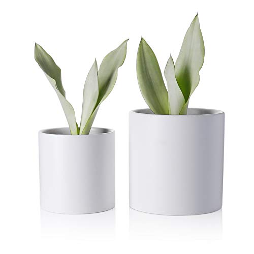 Product Cover Greenaholics Plant Pots - 5.9 + 4.7 Inch Matt Ceramic Planter with Drainage Hole for Flower, Cactus, Succulent Planting, Set of 2, White