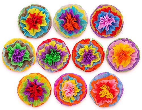 Product Cover Cinco De Mayo Decorations Fiesta Tissue Pom Paper Flowers - Mexican Party Supplies 16inch (Set of 10)