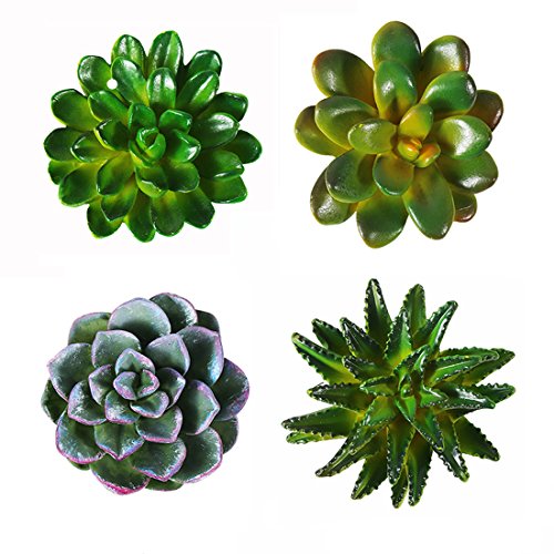 Product Cover CoCoMe Funny 3D Resin Succulent Fridge Refrigerator Magnets Good Gift for Kid Friends