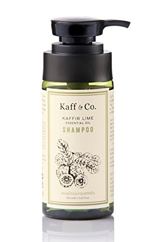 Product Cover Kaff Co 5.07fl. oz. (150ml.) : Kaffir Lime Essential Oil Shampoo for Hair and Scalp Care, Preventing Hair Loss, Dandruff and Itching (Natural Ingrdients, NO SLS, SLES, Parfume, PARABEN)