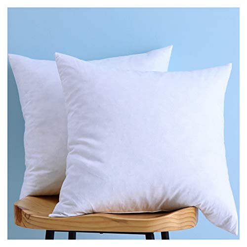 Product Cover LunarTex Set of 2, Cotton Fabric Pillow Inserts, Down and Feather Throw Pillow Insert, 24X24 Inches