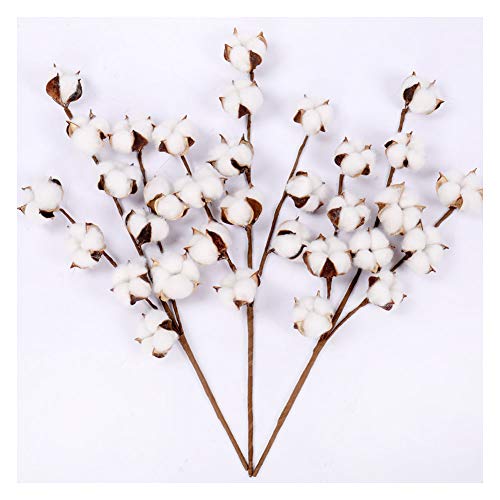 Product Cover Darget Cotton Stems - 20 Inch Tall (3 Stems/Pack) Made from Natural White Cotton Flowers Bolls Farmhouse Style Rustic Floral for Home Decor Wedding Centerpiece