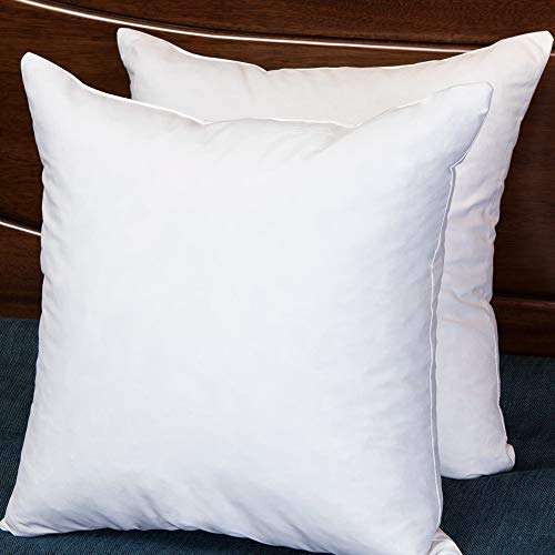 Product Cover Set of 2, Square Decorative Throw Pillows Inserts Down and Feather Pillow Insert, Cotton Fabric, 22X22 Inches