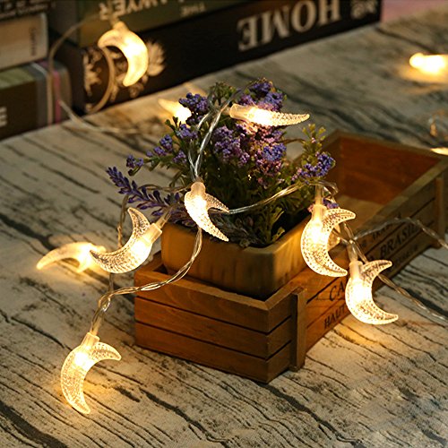Product Cover AceList 40 LED Original Moon Mini String Lights for Patio Garden Holiday Gardens, Homes, Wedding, Mother's Day Party and Holiday Decor (Warm White Light)