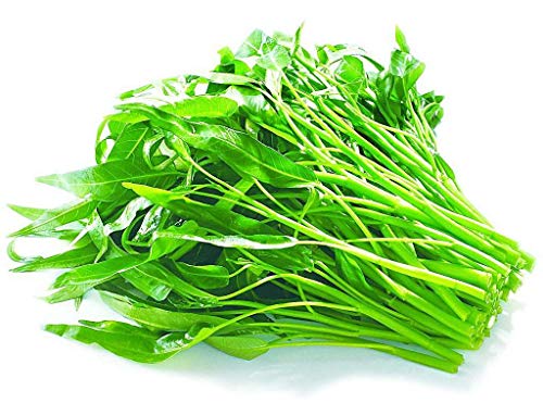 Product Cover Aquatica Green Organic Vegetable Seeds 30G-Water Spinach Chinese Organic Seeds for Planting