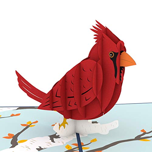 Product Cover Lovepop Cardinal Pop Up Card, 3D Card, Birthday Card, Sympathy Card, Animal Card, Bird Card
