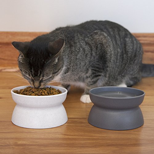 Product Cover Kitty City Raised Cat Food Bowl Collection, Stress Free Pet Feeder and Waterer
