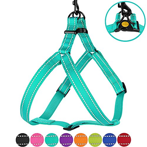 Product Cover CollarDirect Reflective Dog Harness Step in Small Medium Large for Outdoor Walking, Comfort Adjustable Harnesses for Dogs Puppy Pink Black Red Purple Mint Green Orange Blue (Small, Mint Green)