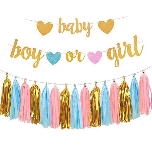 Product Cover Aonor Gender Reveal Party Decorations - Glitter Letters Baby and Boy or Girl with Hearts Banner, Tissue Paper Tassels Garland Set for Baby Shower Party Decorations