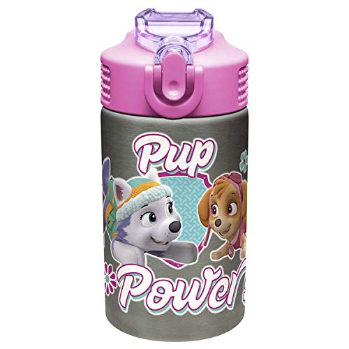Product Cover Zak Designs Paw Patrol Skye - Stainless Steel Water Bottle with One Hand Operation Action Lid and Built-in Carrying Loop, Kids Water Bottle with Straw Spout is Perfect for Kids (15.5 oz, BPA-Free)