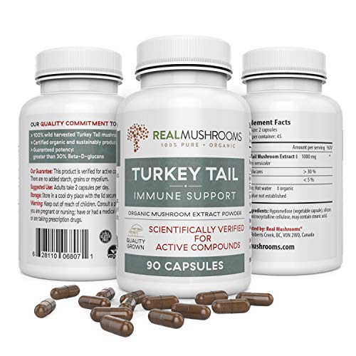 Product Cover Turkey Tail Mushroom Extract Immune Support (90ct), 500mg Organic Turkey Tail Mushroom Supplement Capsules, Antioxidant & Immune System Booster Pills, 45-Day Supply of Turkey Tail Mushroom Supplements